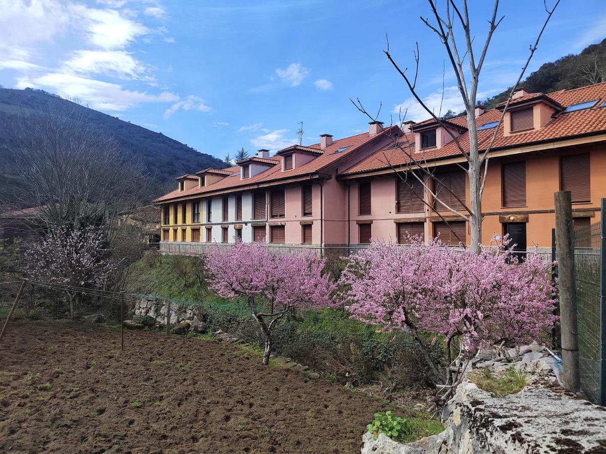 Apartmán Cabrales Sol Carrena de Cabrales Exteriér fotografie