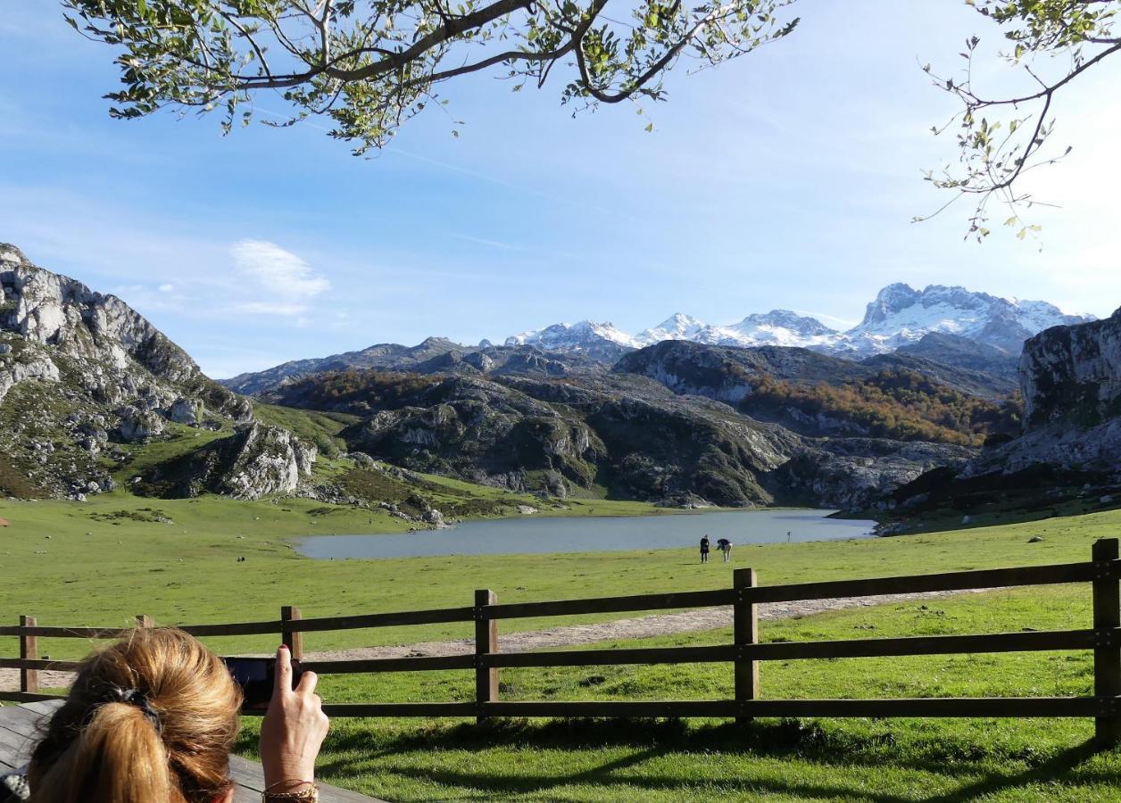 Apartmán Cabrales Sol Carrena de Cabrales Exteriér fotografie